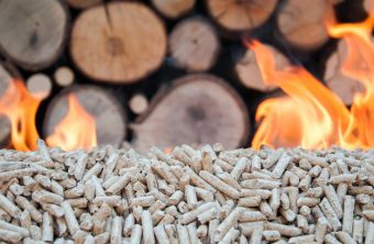 Le granulé de bois, combustible propre et économique