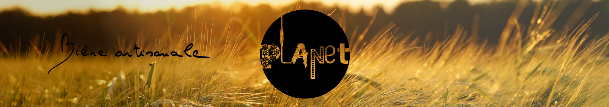Bandeau site web - bière Planet RAGT