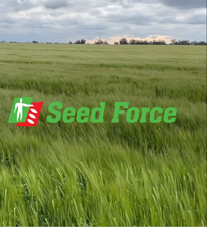 RAGT Semences prend le contrôle de Seed Force en Nouvelle Zélande et en Australie