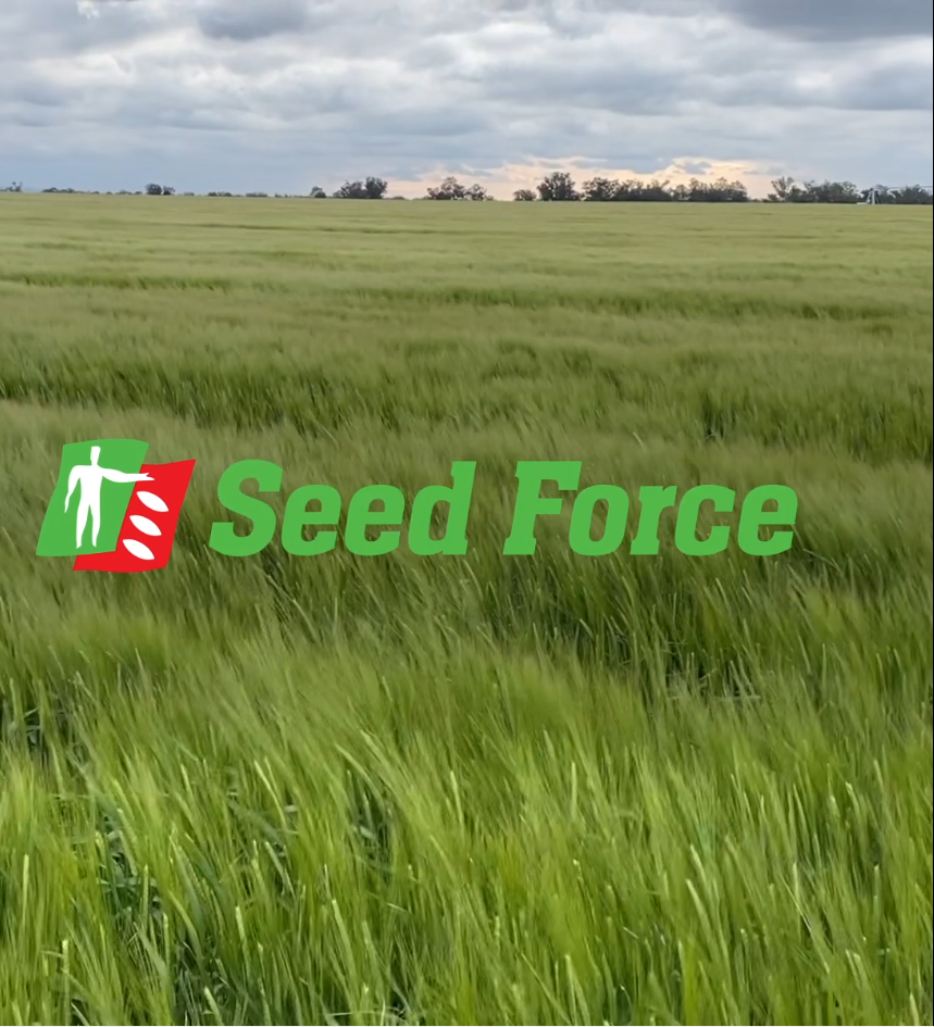 Read more about the article RAGT Semences prend le contrôle de Seed Force en Nouvelle Zélande et en Australie