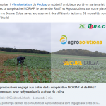 Secure colza - article linkedin - RAGT Semences s‘associe à agrosolutions et au GROUPE NORIAP pour redynamiser la culture du colza. Découvrez ci-dessous l'article de Alizée LOISEAU