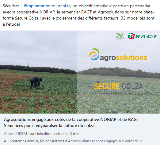 RAGT Semences s‘associe à Agrosolutions et à la coopérative Noriap  pour redynamiser la culture du colza
