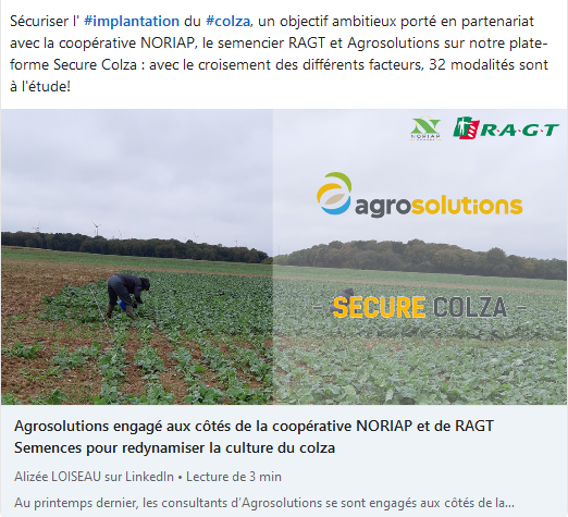 Secure colza - article linkedin - RAGT Semences s‘associe à agrosolutions et au GROUPE NORIAP pour redynamiser la culture du colza. Découvrez ci-dessous l'article de Alizée LOISEAU