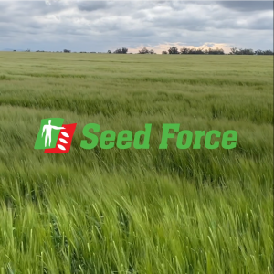 seed-force-ragt-14-december 2020