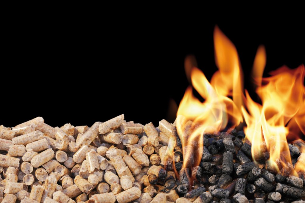 Burning Wood Pellets. Wood pellets are a type of wood fuel.