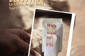 La nouvelle Farine Nos Blés d’Ici