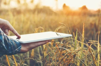Concours Graines d’Agriculteurs 2025 : RAGT soutient l’agriculture de demain