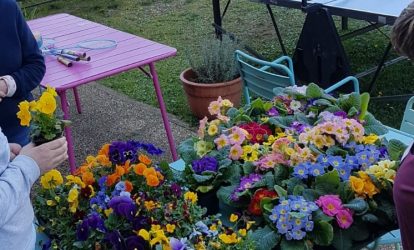 Agapei - flowers- RAGT Jardin et Maison Gaillac (2)